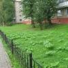 Ружан учили бороться с борщевиком